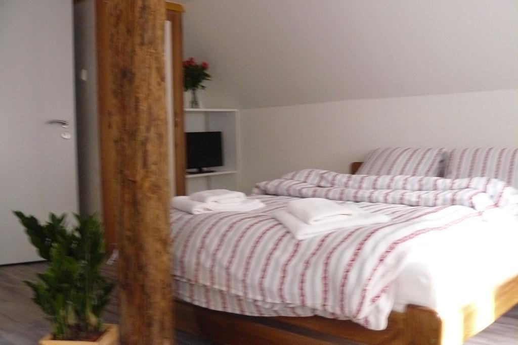 Pension Soutesky Hřensko 部屋 写真